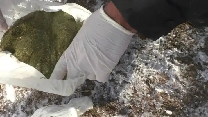 В Жамбылской области обнаружили тайники с наркотиками в особо крупном размере