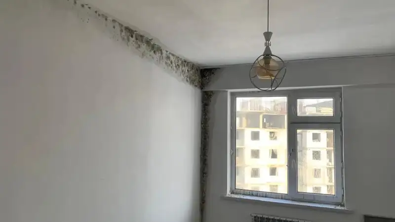 В Талдыкоргане жильцы домов по госпрограмме жалуются на холод и плесень