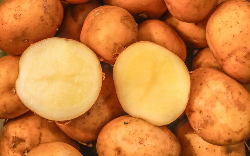 Павлодарда картопты қымбат бағаға сатып келген 8 дүкеннің иесі жазаланды