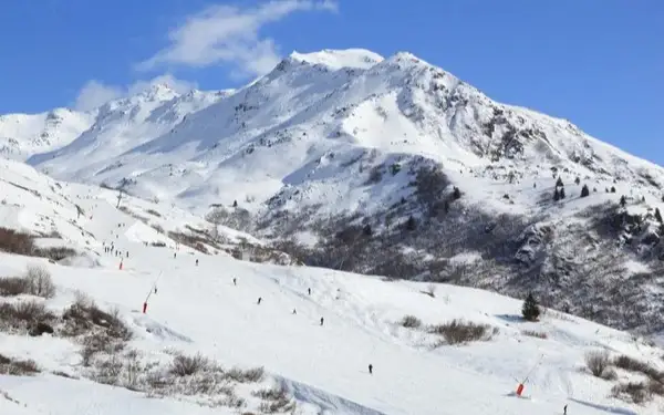 Five skiers killed in French Alps avalanches  