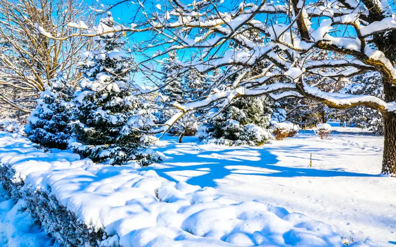 Алматыны қалың қар басты 