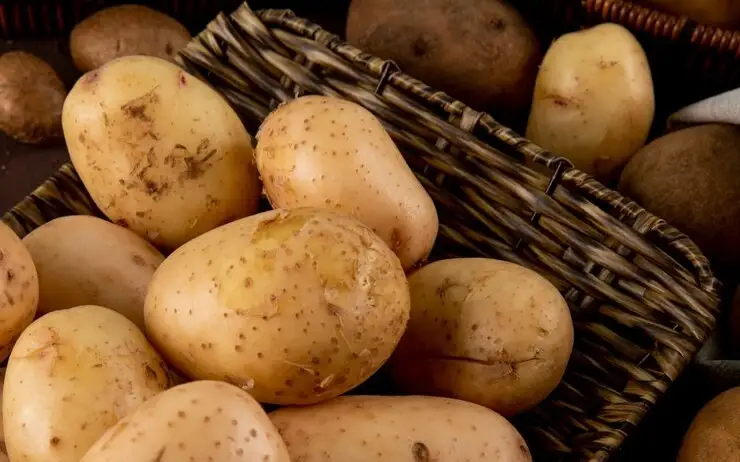 Шығыс Қазақстанда картоп тапшылығы жоқ