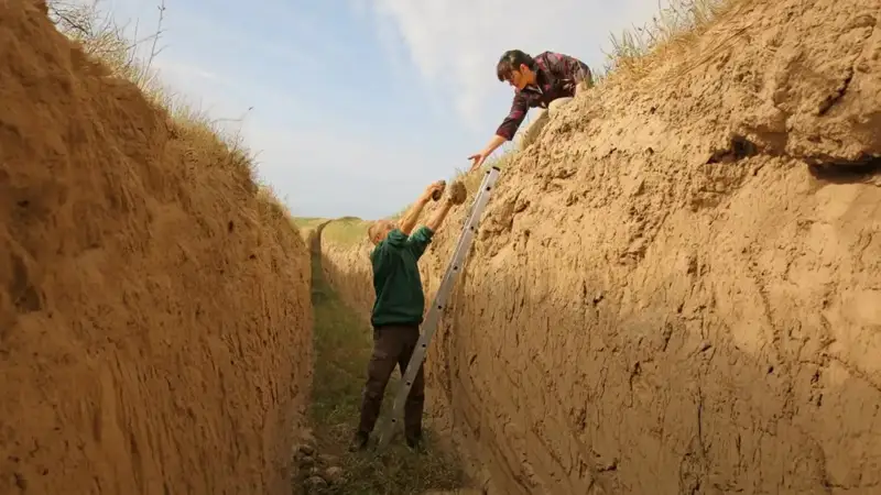  животные гибнут в траншеях  