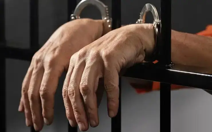 Domınık Pelıkogo taǵy eki áıeldi óltirdi jáne zorlady degen aıyp taǵyldy 