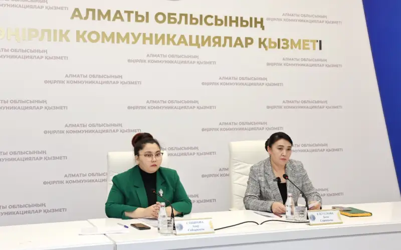 В горных населенных пунктах Алматинской области проведут газификацию