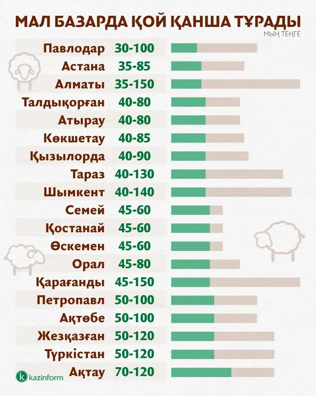 Питбулл бейнесіндегі қыз