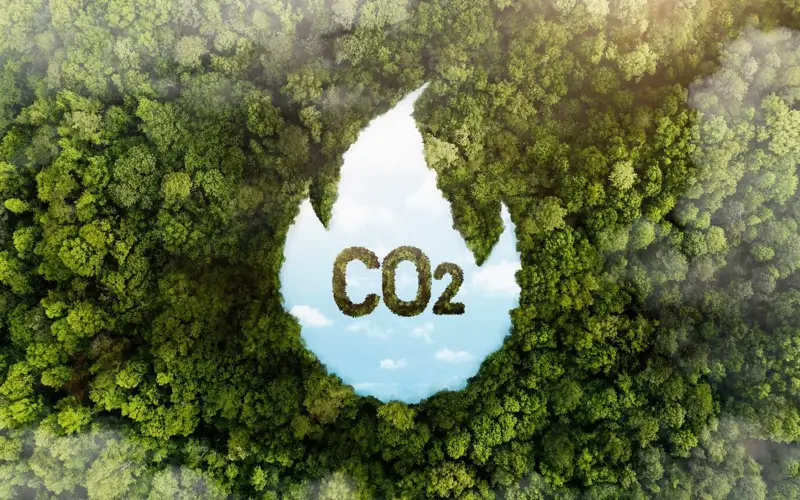 Omani startup develops algae-based air purifier to improve vehicle air quality and reduce emissions