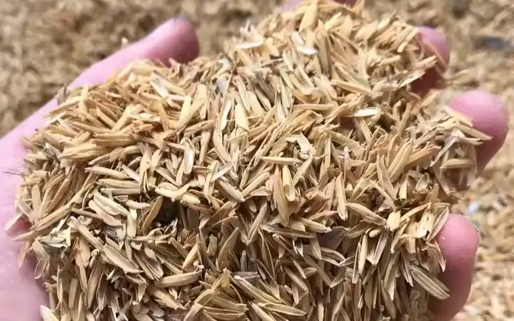 рисовая шелуха