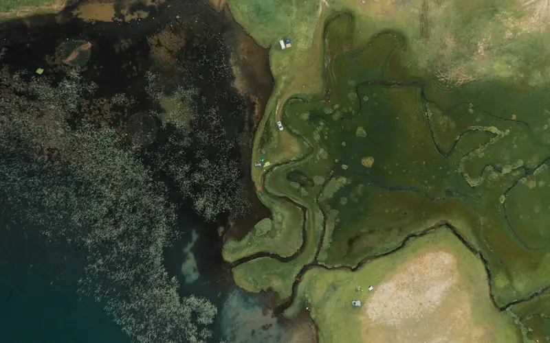 Indonesia to restore peatlands and mangroves for major economic potential