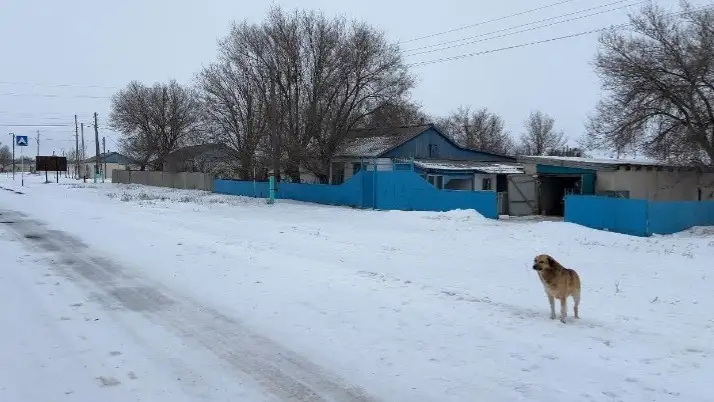 Ақтөбелік белсенді жастар ауылды сақтап қалудың үлгісін көрсетті