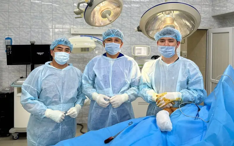 Almaty oblysynda 225 sheteldik tegin emdeldi