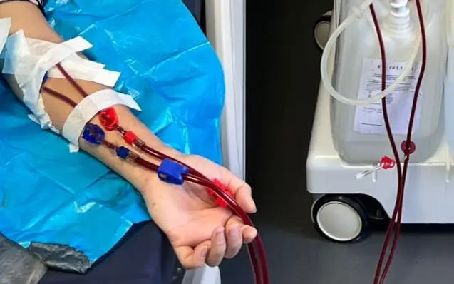 Donor 