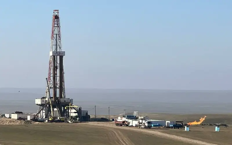 Малайзия Өзбекстандағы кен орындарын игеруге мүдделі