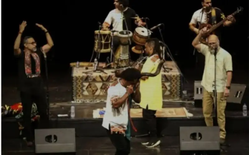 Иран билігі музыкант әйел болғаны үшін концертті тоқтатты