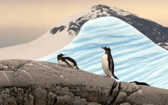 Январь 2025-го стал самым жарким в истории