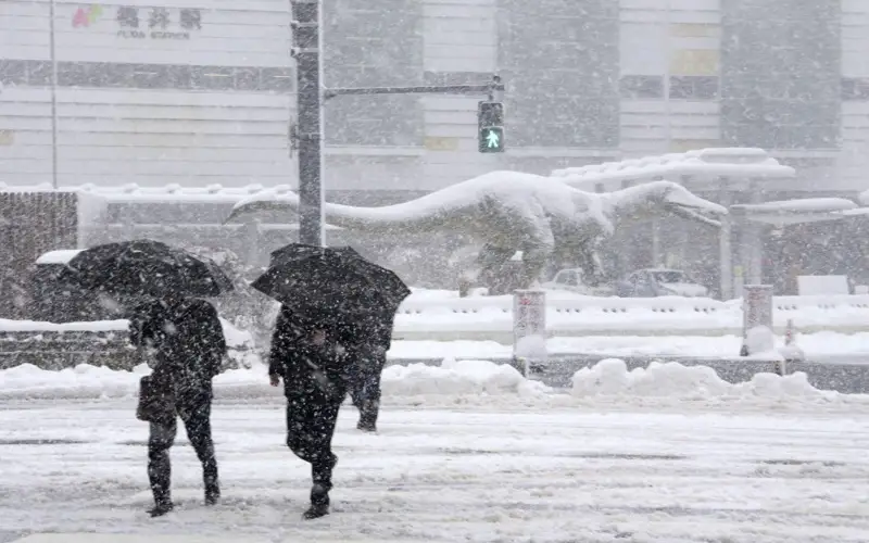 Heavy snowfall hits Sea of Japan coast area, disrupts traffic