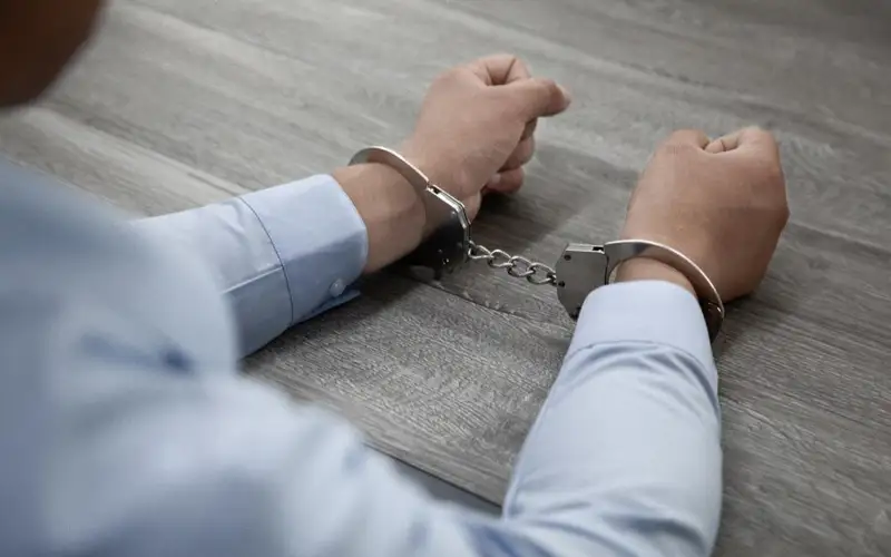 СҚО-да алаяқтық жолмен 50 миллион теңге субсидия алған кооператив басшысы ұсталды