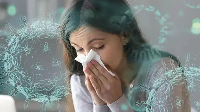 Four types of influenza circulate in N Kazakhstan