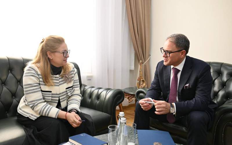 Roman Vassilenko and Madalina Lupu