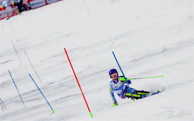 горнолыжники