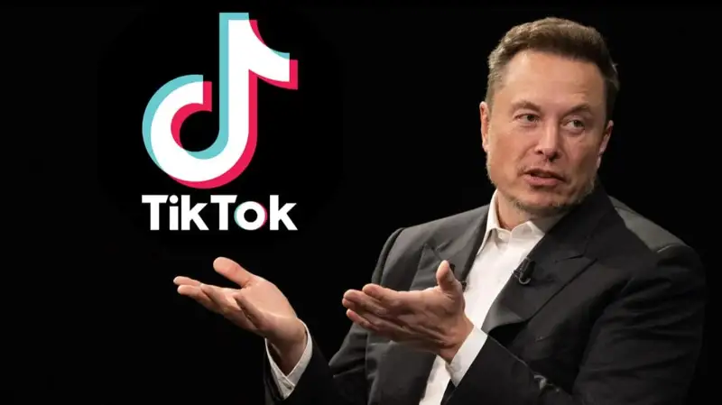 Илон Маск раскрыл свои планы по поводу TikTok