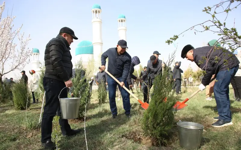 Как повысить приживаемость деревьев в Кызылординской области