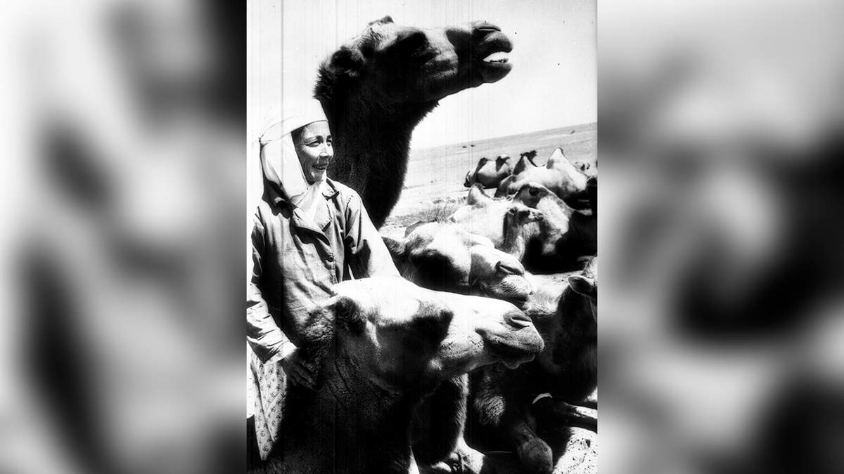 История одного фото: Зауреш Ергалиева и ее верблюды