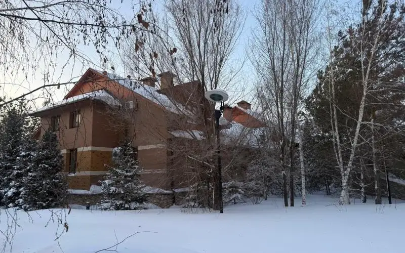 Особняк Карима Масимова 