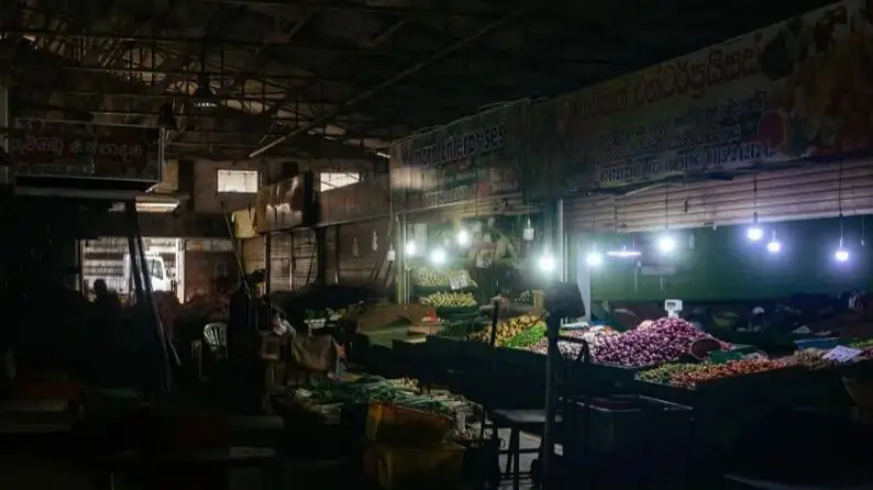 Шри-Ланкада маймыл электр станциясына кіріп кетіп, елді жарықсыз қалдырды