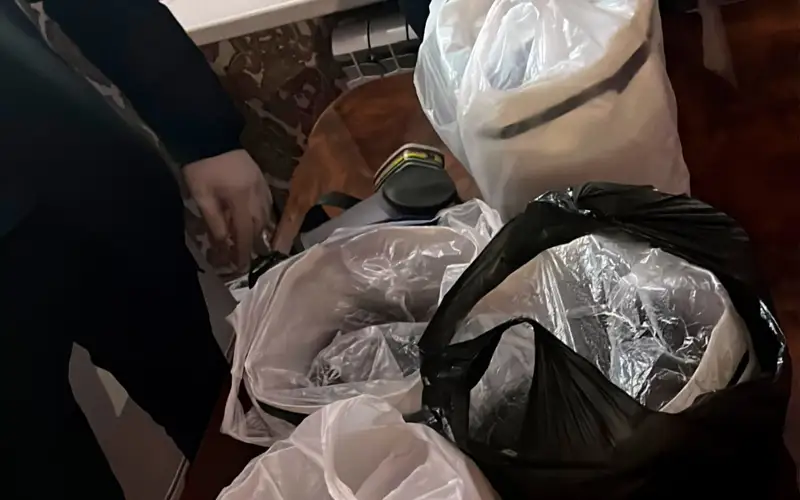 Нарколабораторию ликвидировали в Алматинской области