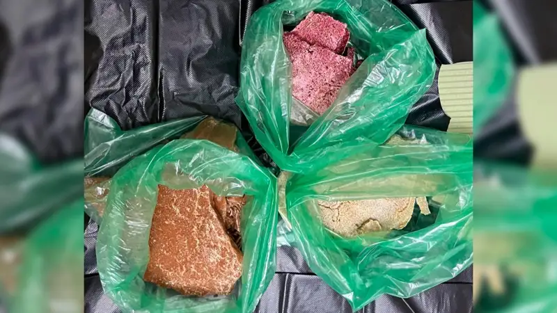 Алматы облысында есірткі зертханасы жойылды 