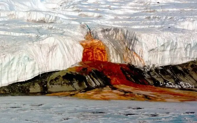 "Қонли шаршара" 