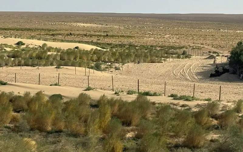 Central Asian countries to develop a major climate project to protect soils
