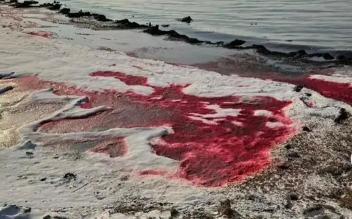 Каспий теңізі