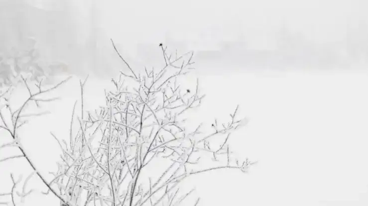 Fog and strong wind expected in Kazakhstan