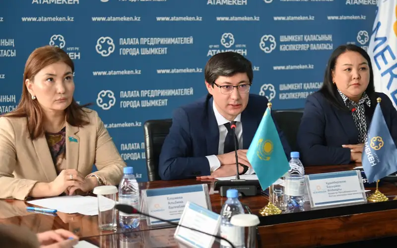 Налоговая реформа: освободить соцучреждения от НДС предложили в Шымкенте