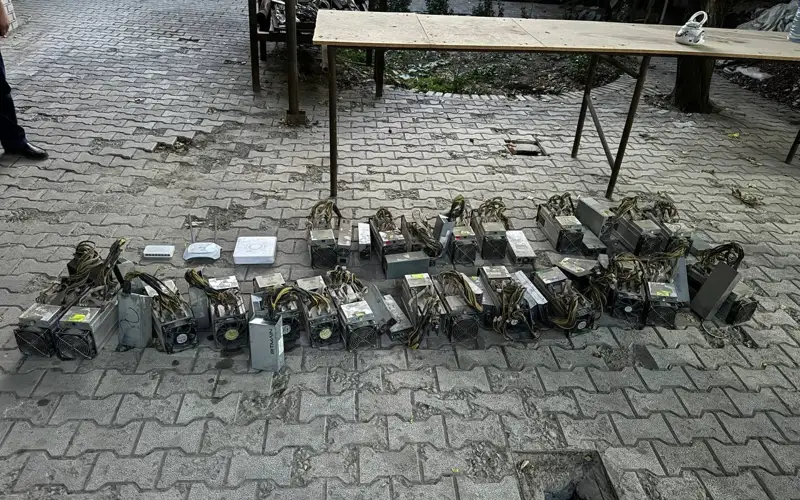 Ózbekstanda elektr júıesine zańsyz qosylǵan maınıng ferma $138 myń shyǵyn keltirdi