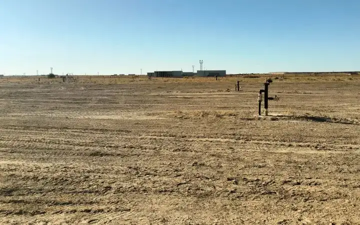 В Туркестанской области засолены 32% пахотных земель