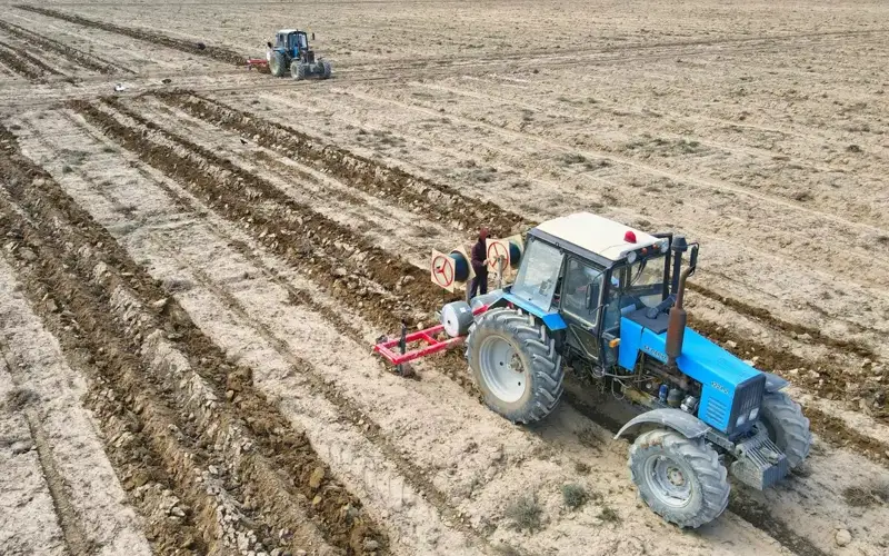В Туркестанской области засолены 32% пахотных земель