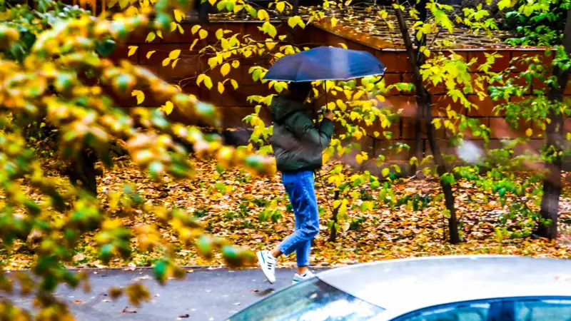 Дождь Алматы Жаңбыр осень күз