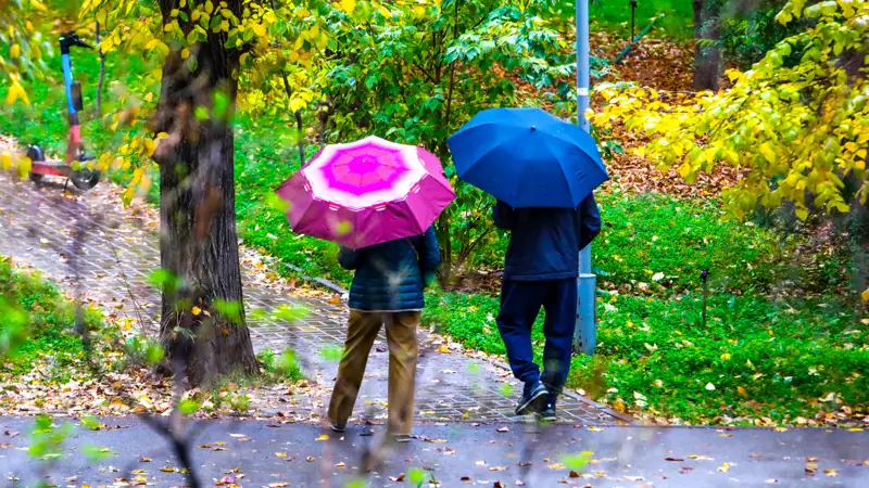 Дождь Алматы Жаңбыр осень күз