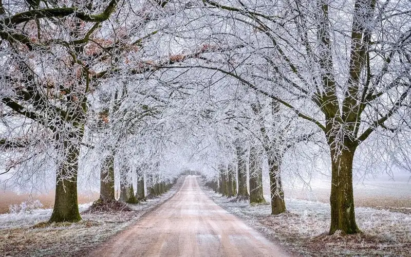 Snow