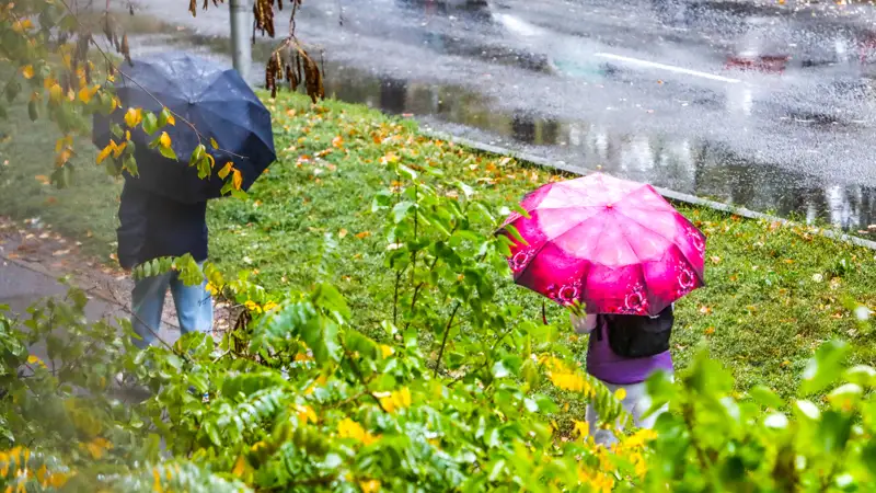 Дождь Алматы Жаңбыр осень күз