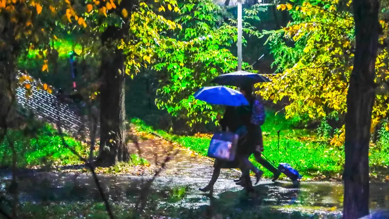 Дождь Алматы Жаңбыр осень күз