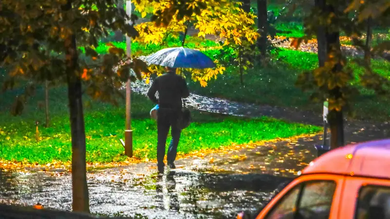 Дождь Алматы Жаңбыр 