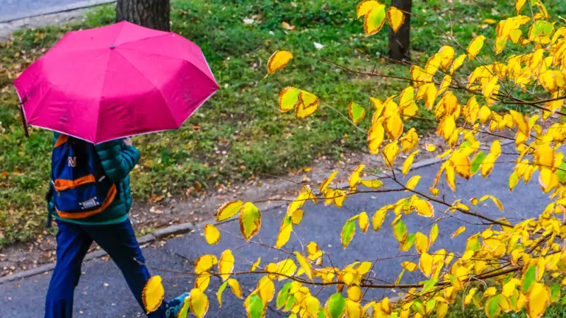 Дождь Алматы Жаңбыр осень күз