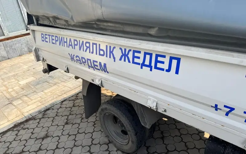 Скорую помощь для животных запустили в Алматы