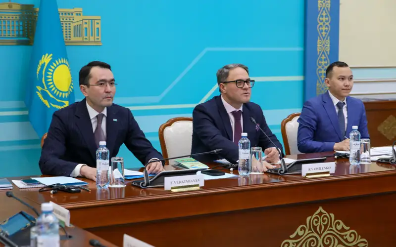  Қазақстандық Neo Nomad визасын қанша шетел азаматы алды 