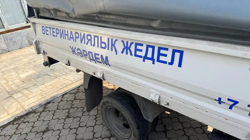 Almatyda jedel veterınarııalyq kómek iske qosyldy