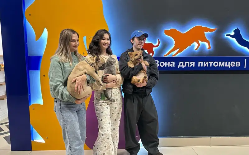 Pet Zone 